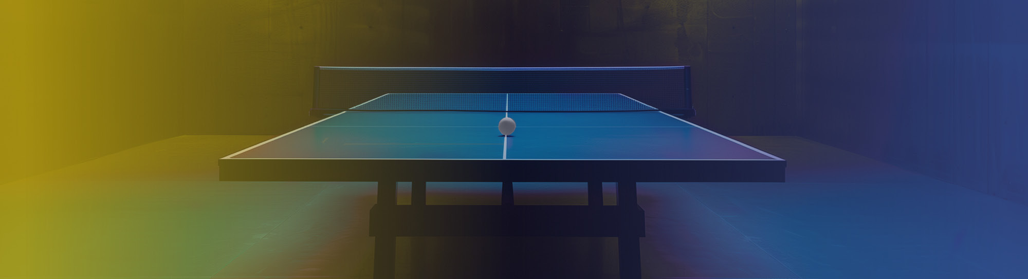 Tischtennisplatte